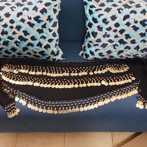 Black and Gold Coin Belly Dance Hip Scarf